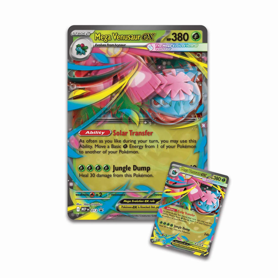 Mega Venusaur ex Premium Collection - Pokémon TCG